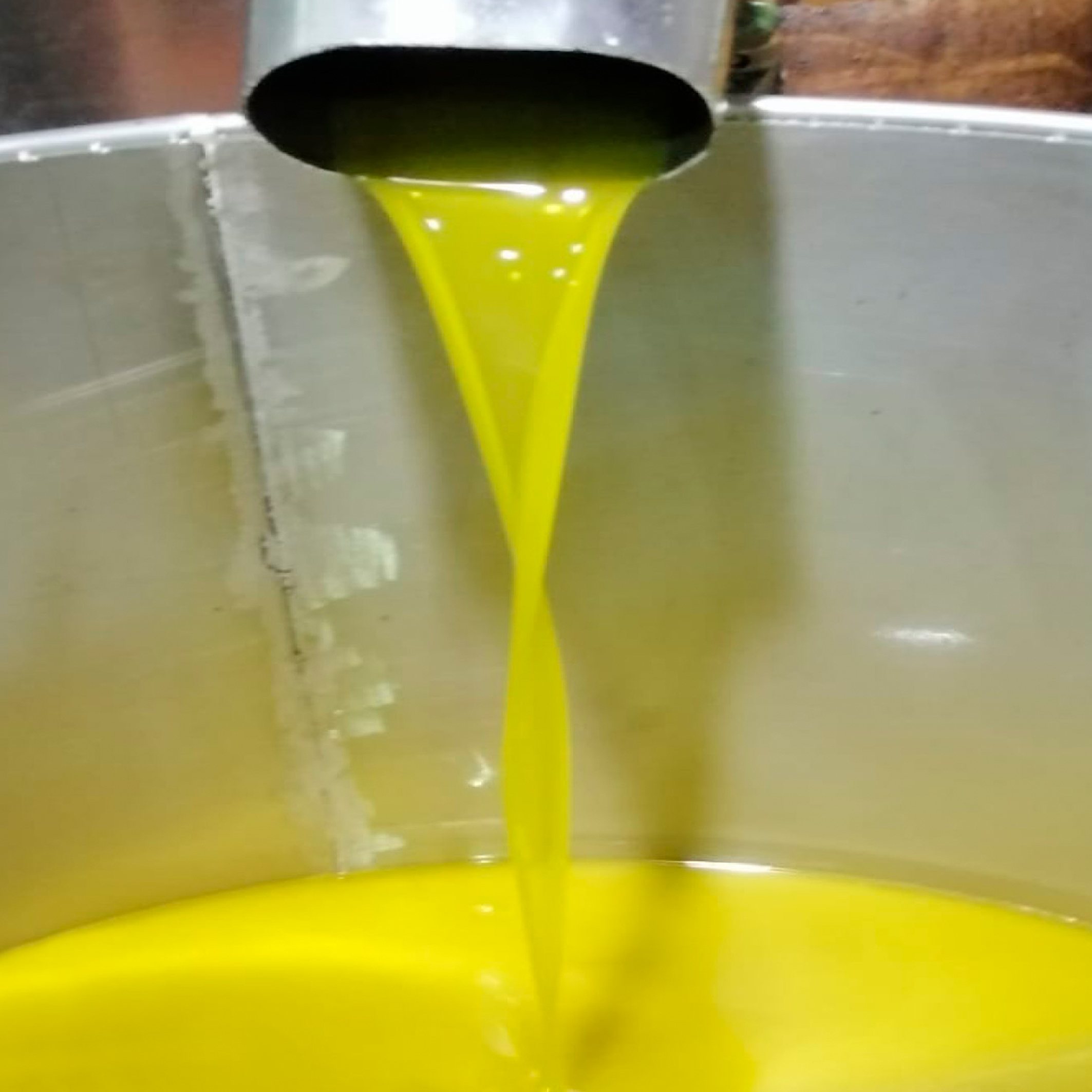 Oliven, Olivenöl, italienisch, Kalabrien, Bio