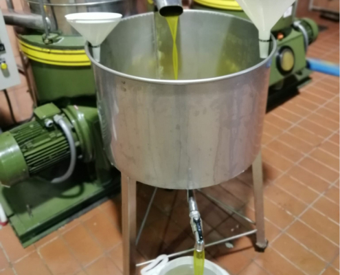 Oliven, Olivenöl, italienisch, Kalabrien, Bio